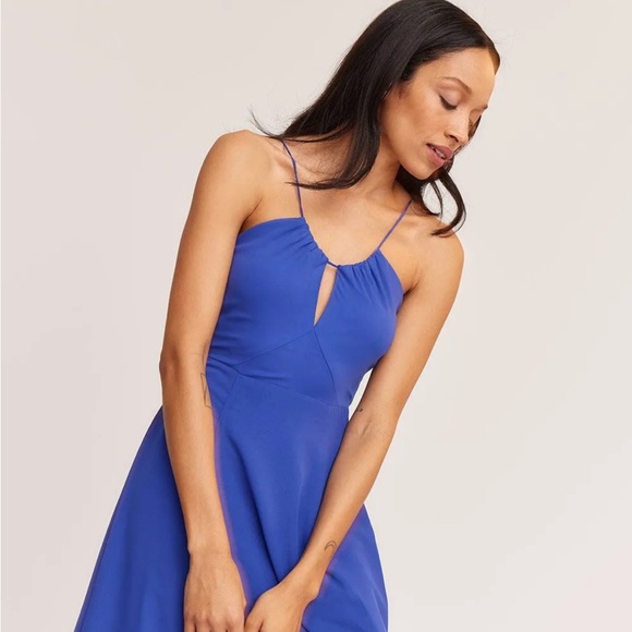 RW&CO. Clematis Blue Gown - Picture 2 of 8